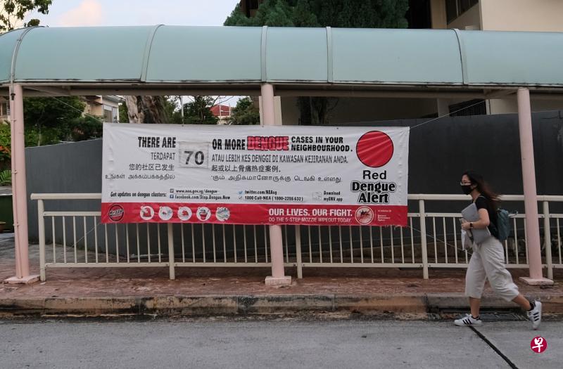 为了抑制骨痛热症病毒主要传播媒介埃及伊蚊生长,国家环境局呼吁公众,要勤于检查和清除家中及公共场所的伊蚊滋生地。除了“灭蚊五步骤”,也要记得在家中阴暗角落如床和沙发底下、窗帘后方等喷杀虫剂,以及穿长袖长裤和喷驱蚊剂。(陈渊庄摄) 为了抑制骨痛热症病毒主要传播媒介埃及伊蚊生长,国家环境局呼吁公众,要勤于检查和清除家中及公共场所的伊蚊滋生地。除了“灭蚊五步骤”,也要记得在家中阴暗角落如床和沙发底下、窗帘后方等喷杀虫剂,以及穿长袖长裤和喷驱蚊剂。(陈渊庄摄)