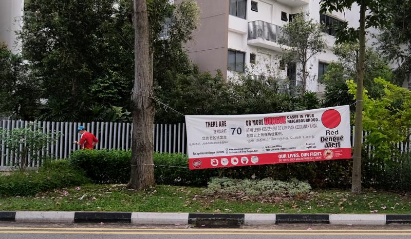 我国上周共出现1158起骨痛热症新增病例,单周首度破千。(档案照) 我国上周共出现1158起骨痛热症新增病例,单周首度破千。(档案照)
