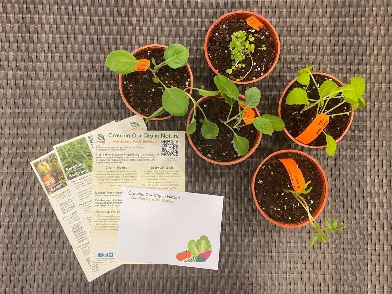 ▲国家公园局推出食用园艺计划,公众即日起可上网免费申请种子配套,虽然无法挑选种子品种,但公园局鼓励公众与他人分享种子,学习栽种不同品种的植物。(国家公园局提供) ▲国家公园局推出食用园艺计划,公众即日起可上网免费申请种子配套,虽然无法挑选种子品种,但公园局鼓励公众与他人分享种子,学习栽种不同品种的植物。(国家公园局提供)