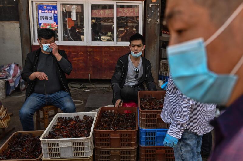 自被广泛怀疑源自武汉华南市场的2019冠状病毒疾病,于去年12月暴发以来,公共卫生和动物权利支持者,就一直呼吁严加检查“海鲜市场”。(法新社) 自被广泛怀疑源自武汉华南市场的2019冠状病毒疾病,于去年12月暴发以来,公共卫生和动物权利支持者,就一直呼吁严加检查“海鲜市场”。(法新社)