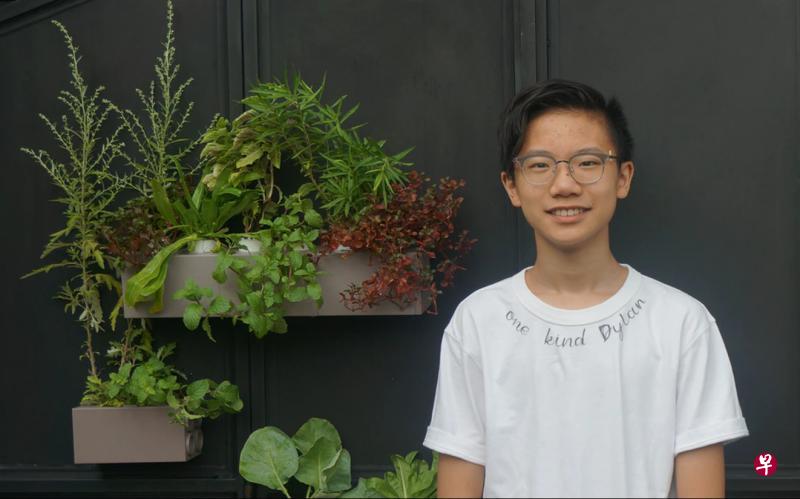 17岁的苏骏一(左图)是水耕系统“独树菜盆”设计师之一。“独树菜盆”从乐高砖块获得灵感,可放置在居家环境各处。 17岁的苏骏一(左图)是水耕系统“独树菜盆”设计师之一。“独树菜盆”从乐高砖块获得灵感,可放置在居家环境各处。