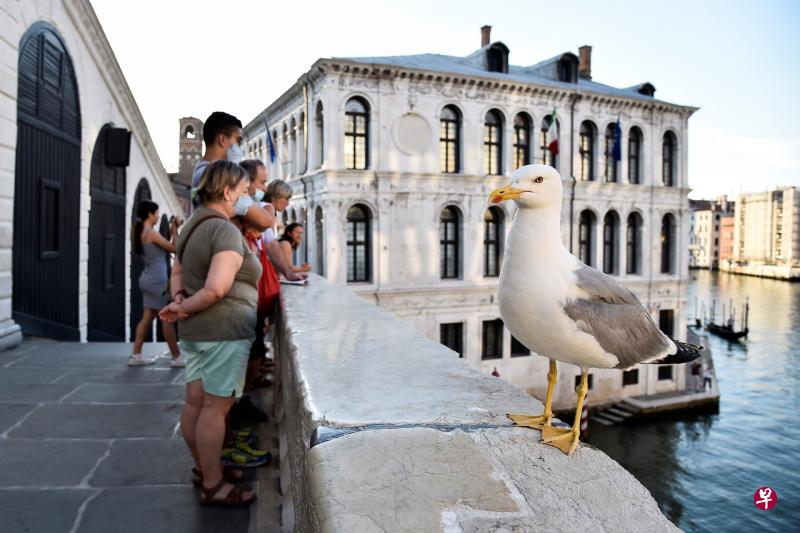 意大利将继续暂停与亚美尼亚、巴林、科威特、巴西、智利、秘鲁等13个国家的航班往来,来自这些国家的旅客也无法通过第三国转机入境。(路透社) 意大利将继续暂停与亚美尼亚、巴林、科威特、巴西、智利、秘鲁等13个国家的航班往来,来自这些国家的旅客也无法通过第三国转机入境。(路透社)