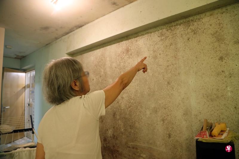邓女士指墙壁都长出了霉菌。(吴伟国摄) 邓女士指墙壁都长出了霉菌。(吴伟国摄)