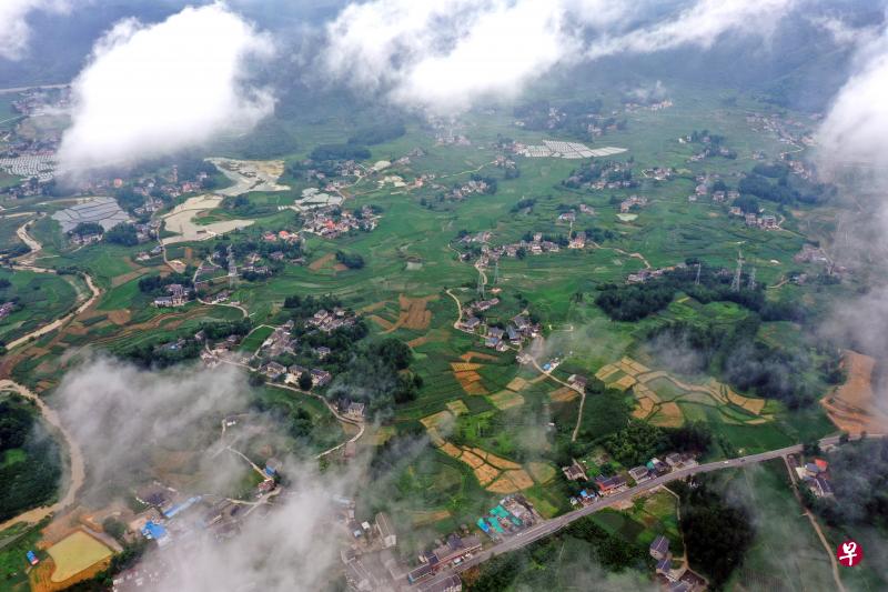 (新华社) (新华社)