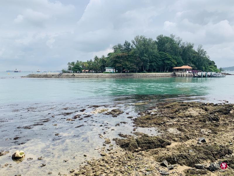 姐妹岛保留了丰富的海洋生态环境。 姐妹岛保留了丰富的海洋生态环境。