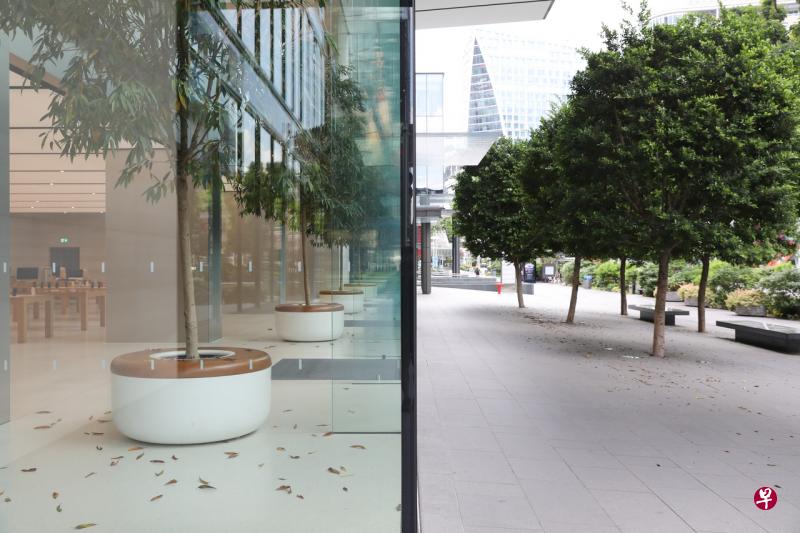 卫生部今天晚上公布了六个曾有冠病病患到访的新增地点,包括乌节路的苹果直营专卖实体店。(海峡时报) 卫生部今天晚上公布了六个曾有冠病病患到访的新增地点,包括乌节路的苹果直营专卖实体店。(海峡时报)