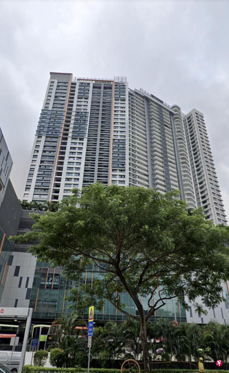 金文泰第441A座 组屋外观。(谷歌地图) 金文泰第441A座 组屋外观。(谷歌地图)