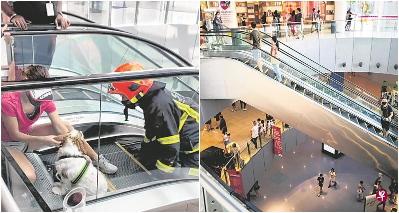 左图:宠物狗后脚卡在电扶梯缝隙,惊动民防人员到场,一名路过的女兽医见状,尝试安抚受伤的小狗。(受访者提供)右图:事件昨早发生在怡丰城图书馆外的电扶梯附近。(饶进礼摄) 左图:宠物狗后脚卡在电扶梯缝隙,惊动民防人员到场,一名路过的女兽医见状,尝试安抚受伤的小狗。(受访者提供)右图:事件昨早发生在怡丰城图书馆外的电扶梯附近。(饶进礼摄)