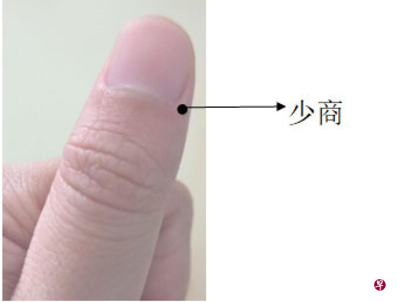 少商。(图/受访者提供) 少商。(图/受访者提供)