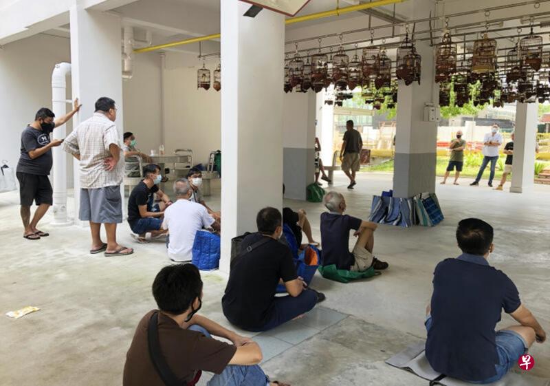鸟主一般会戴口罩,也一些会保持安全距离,但每每谈得兴趣时还是会越站越靠近。 鸟主一般会戴口罩,也一些会保持安全距离,但每每谈得兴趣时还是会越站越靠近。