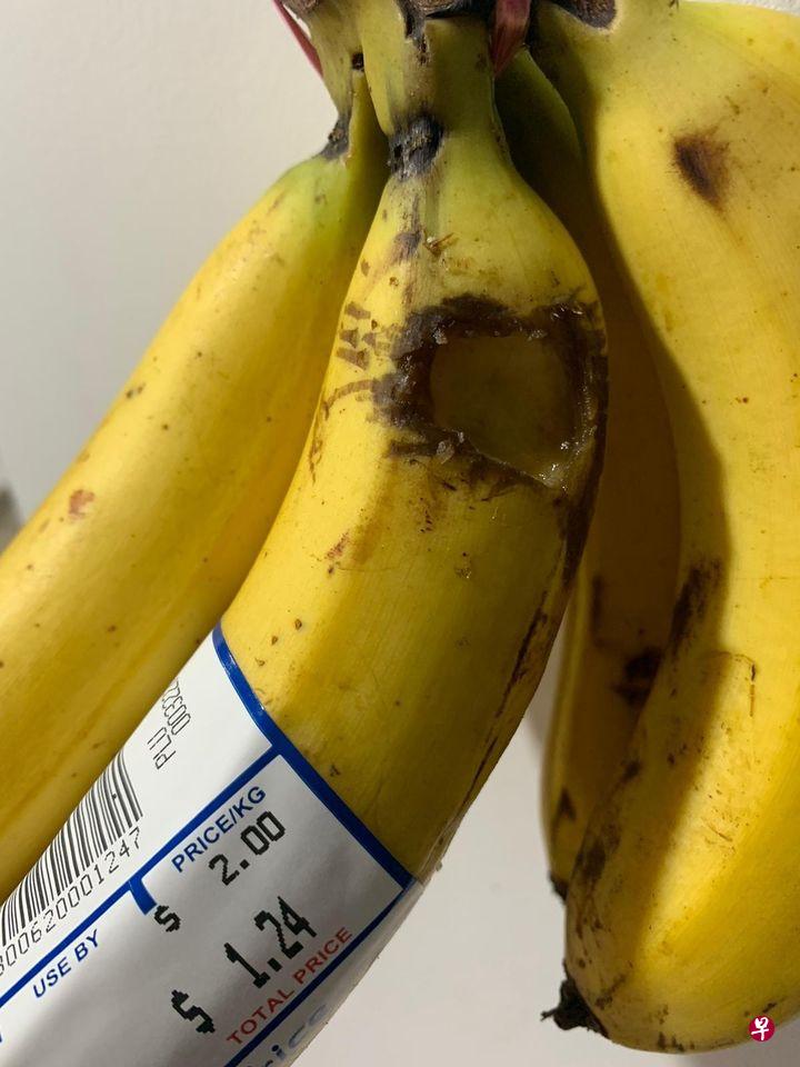 悬挂在屋内的香蕉被蝙蝠啃咬出一个大洞。(受访者提供) 悬挂在屋内的香蕉被蝙蝠啃咬出一个大洞。(受访者提供)