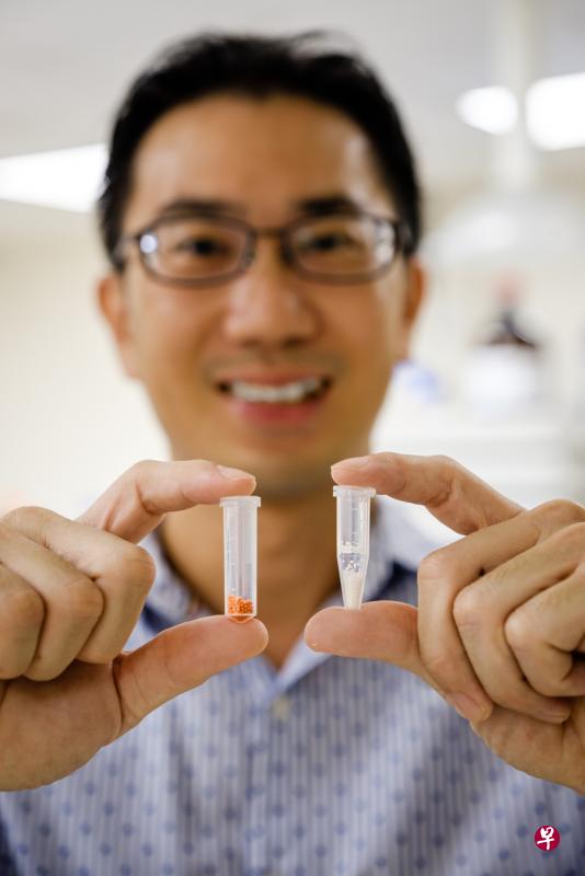 南洋理工大学材料科学与工程学院副教授吕世财博士与团队研发的胶囊附有空心设计,能让它浮在胃酸液体上,24小时缓慢释放药物。(南洋理工大学提供) 南洋理工大学材料科学与工程学院副教授吕世财博士与团队研发的胶囊附有空心设计,能让它浮在胃酸液体上,24小时缓慢释放药物。(南洋理工大学提供)