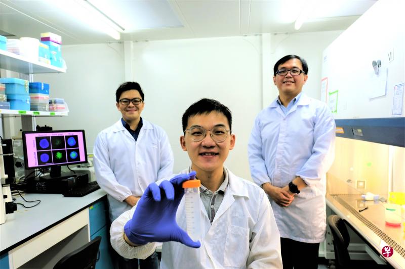 来自南洋理工大学材料科学与工程学院的郑祖仰助理教授(左起)、吴焯然副研究员以及李光前医学院的陈源顺副教授研发出无需药物就杀害癌细胞的纳米晶片。(南洋理工大学提供) 来自南洋理工大学材料科学与工程学院的郑祖仰助理教授(左起)、吴焯然副研究员以及李光前医学院的陈源顺副教授研发出无需药物就杀害癌细胞的纳米晶片。(南洋理工大学提供)