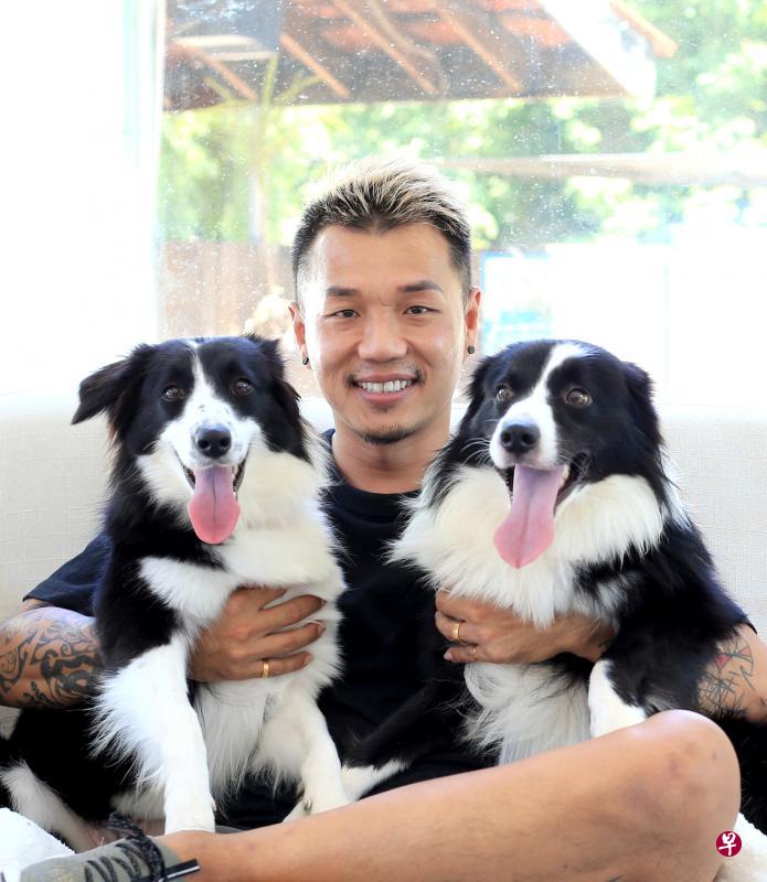 驯犬师陈家兴认为,天底下没有难驯的狗,只有难教的宠物主人。 驯犬师陈家兴认为,天底下没有难驯的狗,只有难教的宠物主人。