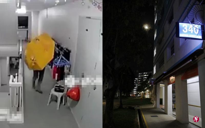 (左)变态男撑着黄色大雨伞把内衣偷走,全程被电眼拍下。(互联网)(右) 组屋频发生内衣裤被偷走的事件,居民担心不已,希望早日揪出涉案者。(李健玮摄) (左)变态男撑着黄色大雨伞把内衣偷走,全程被电眼拍下。(互联网)(右) 组屋频发生内衣裤被偷走的事件,居民担心不已,希望早日揪出涉案者。(李健玮摄)