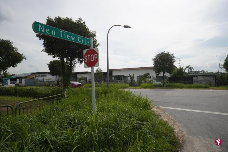 林厝港农地发展成高科技农产品生产基地,还能为国人创造新的就业机会,吸引新一代从事农产业。(谢智扬摄) 林厝港农地发展成高科技农产品生产基地,还能为国人创造新的就业机会,吸引新一代从事农产业。(谢智扬摄)