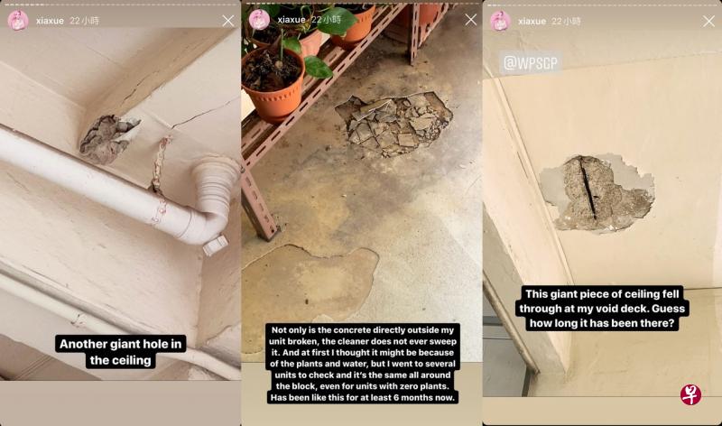因组屋区墙壁与天花板大面积油漆剥落，住家外走廊石灰地板碎裂许久也没人修补，本地知名博主“下雪”在个人社交媒体平台上投诉工人党市镇理事会的办事效率慢，引起热议。（取自下雪Instagram） 