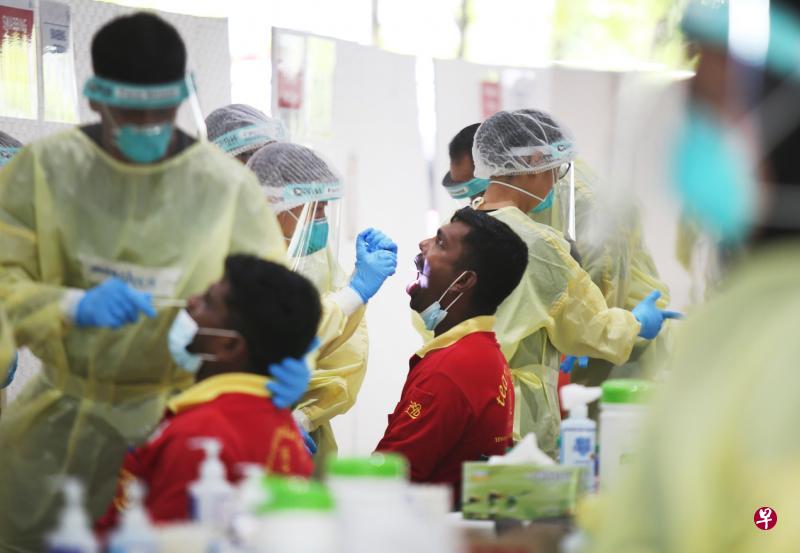 部分区域检测中心已经开始采用口咽中鼻甲拭子和唾液检测的二合一新检测方法,这比起过去一般采用的鼻咽拭子测试法,较为舒适。(梁伟康摄) 部分区域检测中心已经开始采用口咽中鼻甲拭子和唾液检测的二合一新检测方法,这比起过去一般采用的鼻咽拭子测试法,较为舒适。(梁伟康摄)