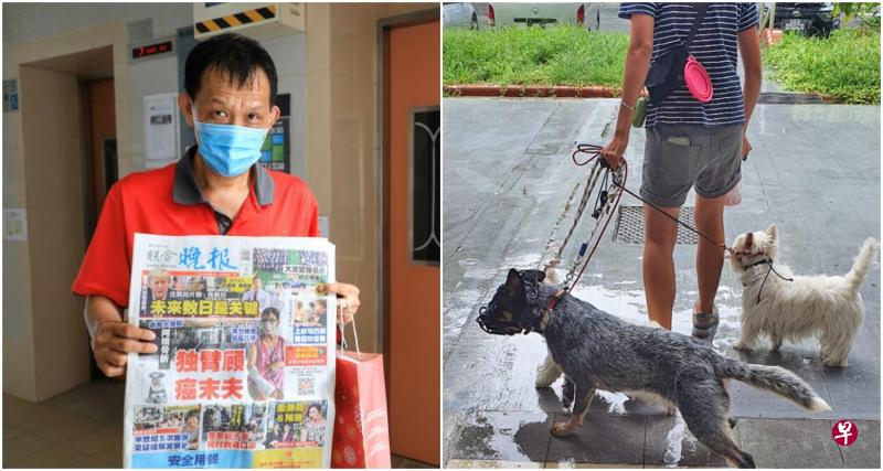 谢金平看到《联合晚报》刊登许月云被狗咬的新闻后,站出来说自己也是受害者之一。右图的灰色狗被指咬人后,隔天出门时被遛狗人戴上“口罩”。(读者提供) 谢金平看到《联合晚报》刊登许月云被狗咬的新闻后,站出来说自己也是受害者之一。右图的灰色狗被指咬人后,隔天出门时被遛狗人戴上“口罩”。(读者提供)