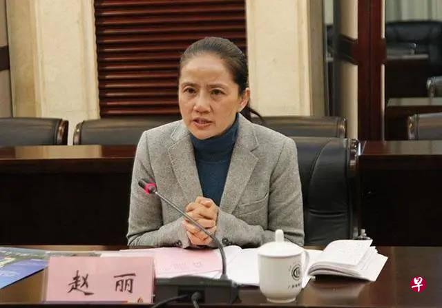 曾被誉为南陲边疆“最美女书记”的广西崇左市委原常委、大新县委原书记赵丽被控受贿。(互联网) 曾被誉为南陲边疆“最美女书记”的广西崇左市委原常委、大新县委原书记赵丽被控受贿。(互联网)