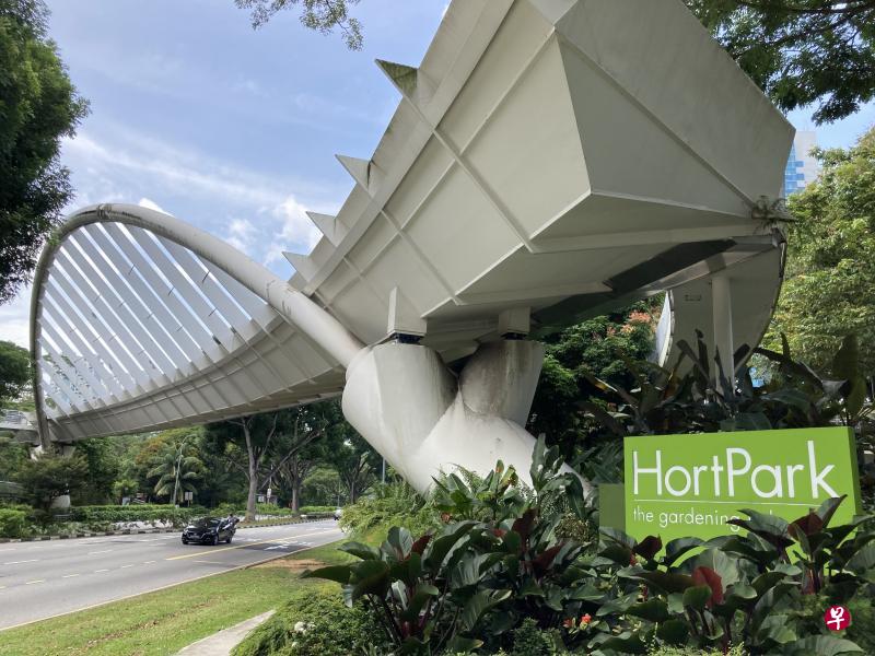 衔接园艺园林和丛林步道的亚历山大拱桥结构如叶状,设计独特新颖。 衔接园艺园林和丛林步道的亚历山大拱桥结构如叶状,设计独特新颖。