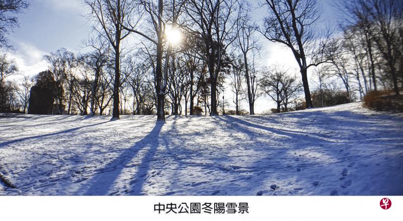 纽约中央公园冬阳雪景。 纽约中央公园冬阳雪景。