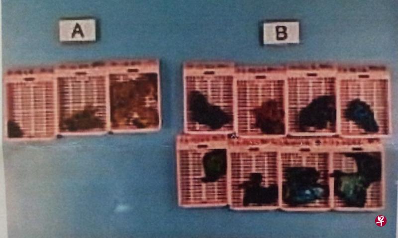 乳癌患者未必需要切除腋窝所有淋巴结。(受访者提供) 乳癌患者未必需要切除腋窝所有淋巴结。(受访者提供)