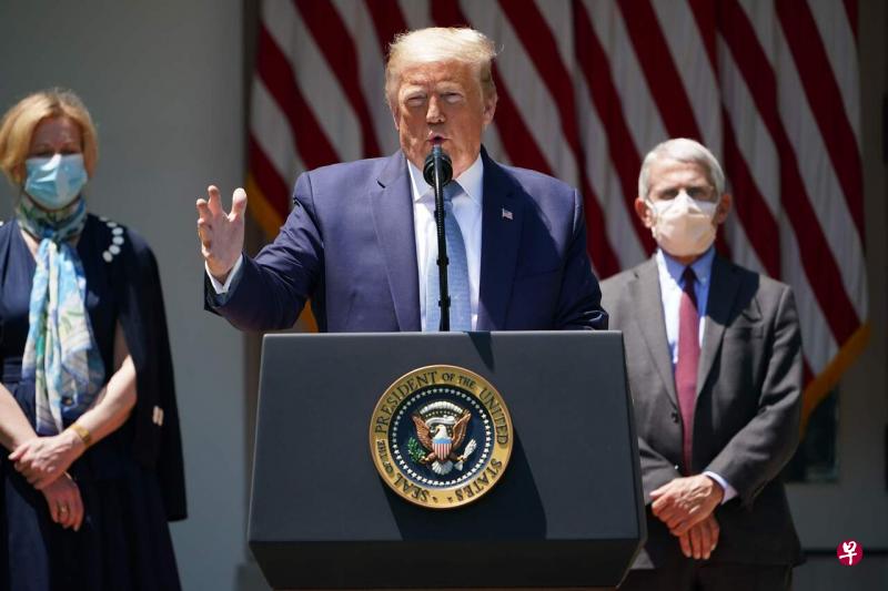 白宫疫情应对工作组的主要成员伯克斯(后排左)和福奇(后排右),都被特朗普排除在咨询核心外。(法新社) 白宫疫情应对工作组的主要成员伯克斯(后排左)和福奇(后排右),都被特朗普排除在咨询核心外。(法新社)