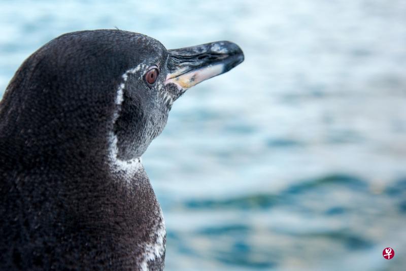 (法新社) (法新社)