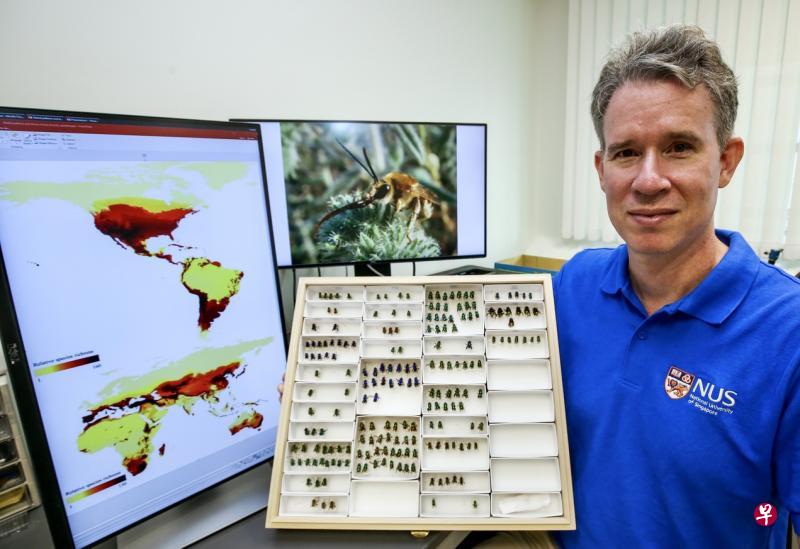新加坡国立大学生物学系助理教授阿瑟尔(John Ascher)参与绘制全球首个蜜蜂物种丰富度地图,地图中颜色较深的区域有更多的蜜蜂品种。(陈斌勤摄) 新加坡国立大学生物学系助理教授阿瑟尔(John Ascher)参与绘制全球首个蜜蜂物种丰富度地图,地图中颜色较深的区域有更多的蜜蜂品种。(陈斌勤摄)