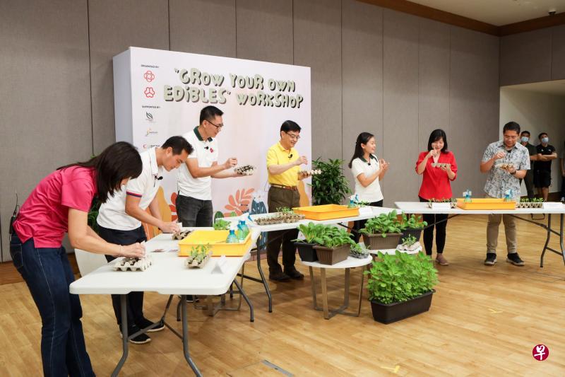 领导东海岸集选区的副总理兼经济政策统筹部长及财政部长王瑞杰(中),昨早同该区另四名议员陈舜娘(左一)、陈杰豪(左二)、陈慧玲(右二)和孟理齐(右一),一同参与园艺工作坊,向在线的居民示范如何在家种植蔬菜。(人民协会提供) 领导东海岸集选区的副总理兼经济政策统筹部长及财政部长王瑞杰(中),昨早同该区另四名议员陈舜娘(左一)、陈杰豪(左二)、陈慧玲(右二)和孟理齐(右一),一同参与园艺工作坊,向在线的居民示范如何在家种植蔬菜。(人民协会提供)