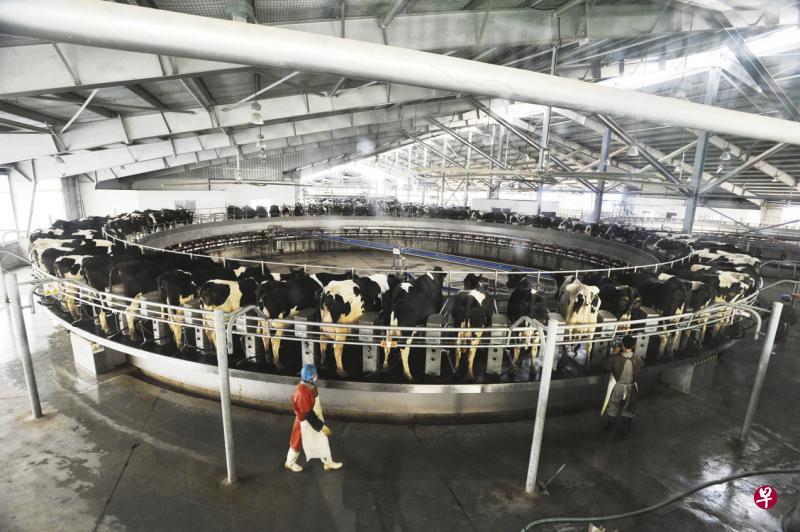 佳发公司脱售东南亚乳制品业务后,将着重发展中国、印尼和越南的其他业务。(佳发公司提供) 佳发公司脱售东南亚乳制品业务后,将着重发展中国、印尼和越南的其他业务。(佳发公司提供)
