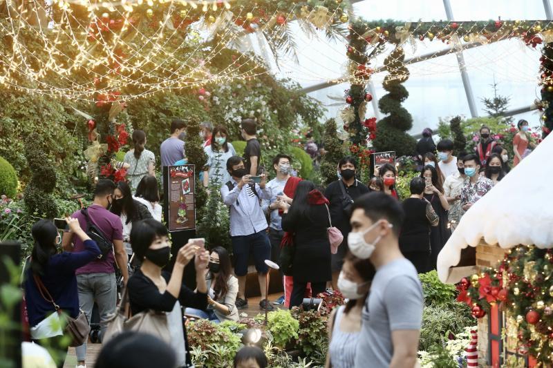 户外冷飕飕,滨海湾花园则“闹哄哄”。尽管大雨不断,访客依旧到访室内花穹,与灿烂的花卉和吸睛的布置拍照留念。现场的工作人员也不忘提醒访客保持安全距离,戴上口罩。(陈斌勤摄) 户外冷飕飕,滨海湾花园则“闹哄哄”。尽管大雨不断,访客依旧到访室内花穹,与灿烂的花卉和吸睛的布置拍照留念。现场的工作人员也不忘提醒访客保持安全距离,戴上口罩。(陈斌勤摄)