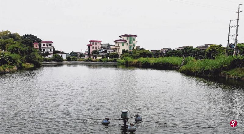 “第二故乡” 的洋楼:人去楼空,告别为柴米油盐酱醋茶发愁的岁月。 “第二故乡” 的洋楼:人去楼空,告别为柴米油盐酱醋茶发愁的岁月。