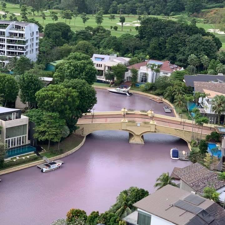 受影响的水域水体也出现颜色变化。(取自面簿) 受影响的水域水体也出现颜色变化。(取自面簿)