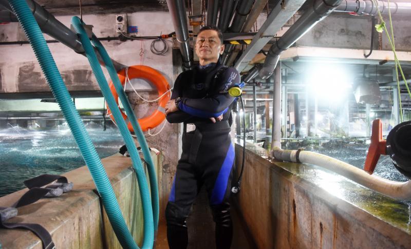 海底世界潜水员主管陈锦荣在2016年10月4日“搬鱼”时,遭魔鬼鱼的尾刺刺穿胸口,送院不治。(档案照片) 海底世界潜水员主管陈锦荣在2016年10月4日“搬鱼”时,遭魔鬼鱼的尾刺刺穿胸口,送院不治。(档案照片)