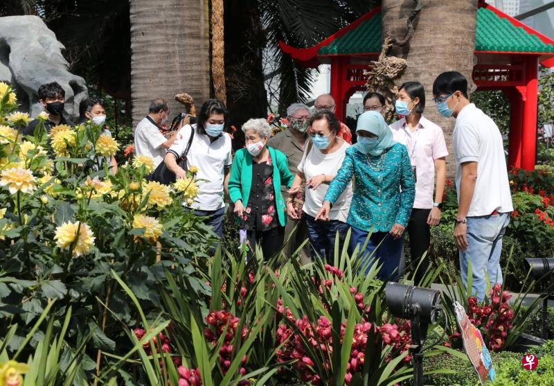 哈莉玛总统(右三)到访滨海湾花园的花穹,与“花园献礼”计划受益人游览“大丽花之梦”花卉展。(施策文摄) 哈莉玛总统(右三)到访滨海湾花园的花穹,与“花园献礼”计划受益人游览“大丽花之梦”花卉展。(施策文摄)