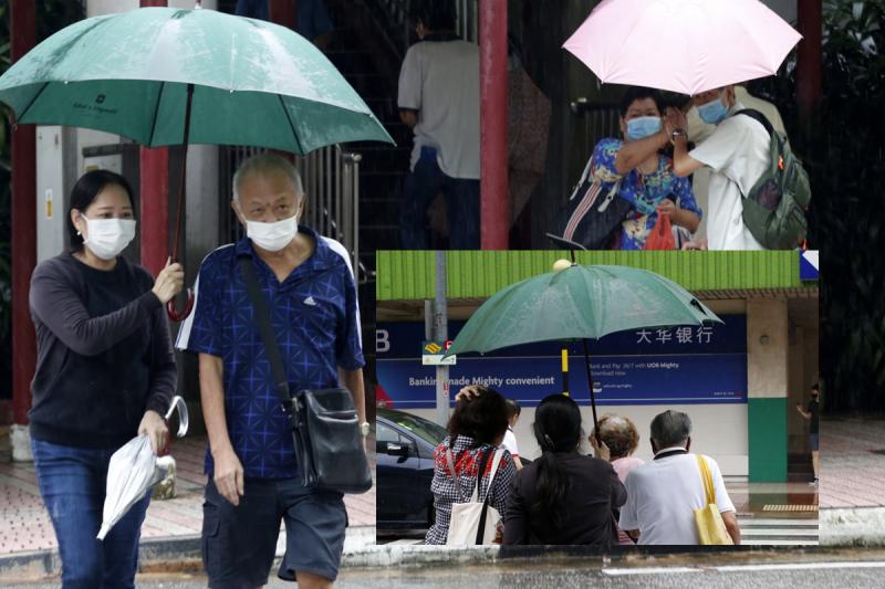 杨丽晶(左)在雨天到珍珠坊旁边的斑马线为路人撑伞。小图:杨丽晶(黑衣)上星期日为三名没撑伞的年长者撑伞过马路。(梁麒麟摄) 杨丽晶(左)在雨天到珍珠坊旁边的斑马线为路人撑伞。小图:杨丽晶(黑衣)上星期日为三名没撑伞的年长者撑伞过马路。(梁麒麟摄)