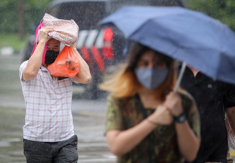 安哥,最近多雨,出门记得带伞。(林泽锐摄) 安哥,最近多雨,出门记得带伞。(林泽锐摄)