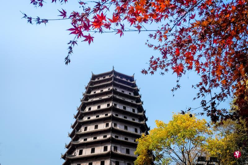 六合塔初冬的秋色。 六合塔初冬的秋色。