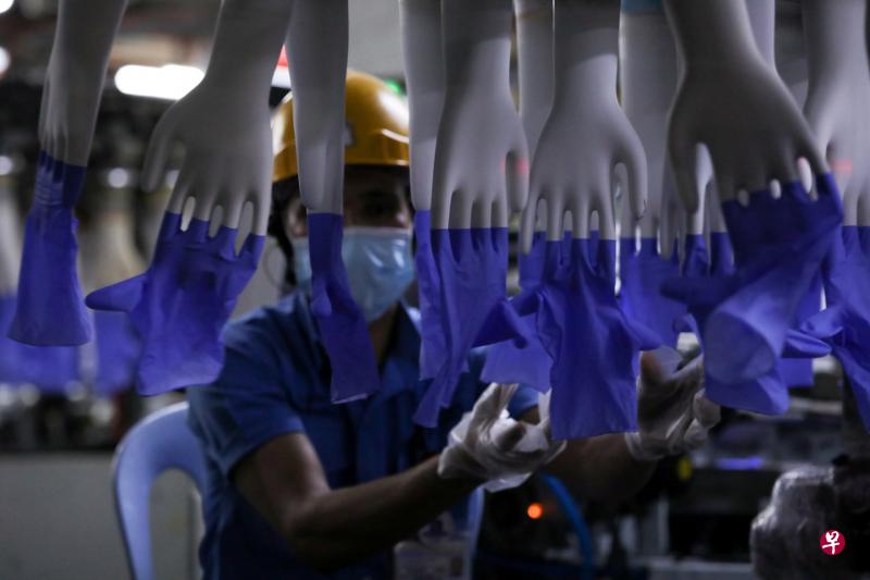 马国最大手套制造商顶级手套(Top Glove)去年暴发疫情,超过5000名员工感染冠病。(路透社) 马国最大手套制造商顶级手套(Top Glove)去年暴发疫情,超过5000名员工感染冠病。(路透社)