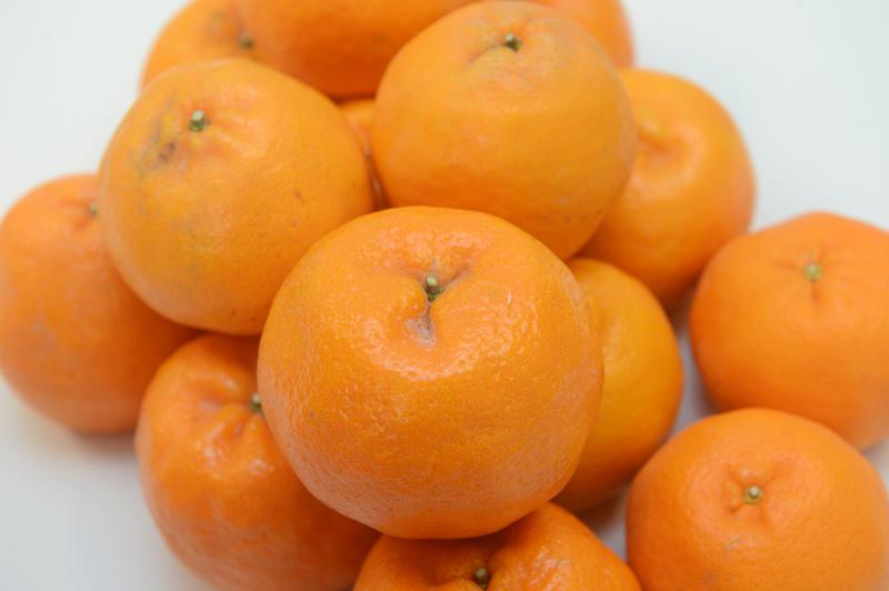 黄瓜不宜和年柑一起吃。 (档案照) 黄瓜不宜和年柑一起吃。 (档案照)