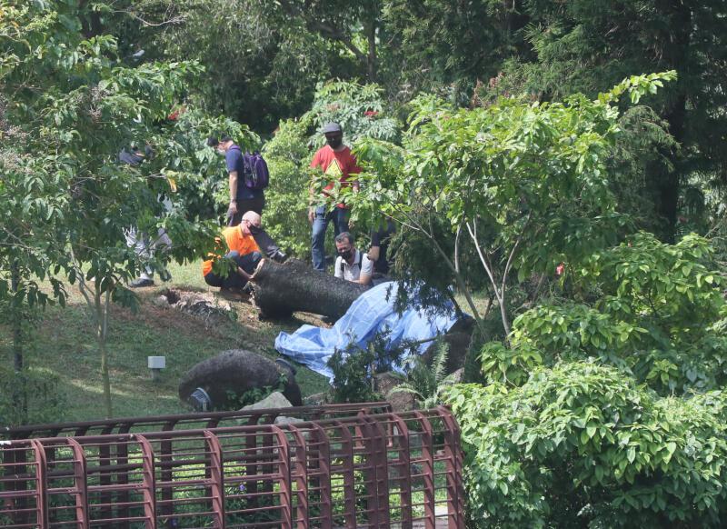 大批警员及工作人员在案发现场调查。(吴伟国摄) 大批警员及工作人员在案发现场调查。(吴伟国摄)