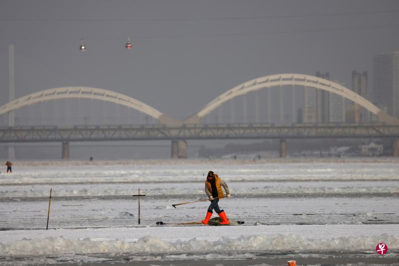 去年12月18日,一名工人赶在哈尔滨国际冰雪节前,在哈尔滨松花江铲除冰块。当地面临严重的人口危机,大批青年人向能提供更多工作机会的城市流失。(路透社) 去年12月18日,一名工人赶在哈尔滨国际冰雪节前,在哈尔滨松花江铲除冰块。当地面临严重的人口危机,大批青年人向能提供更多工作机会的城市流失。(路透社)