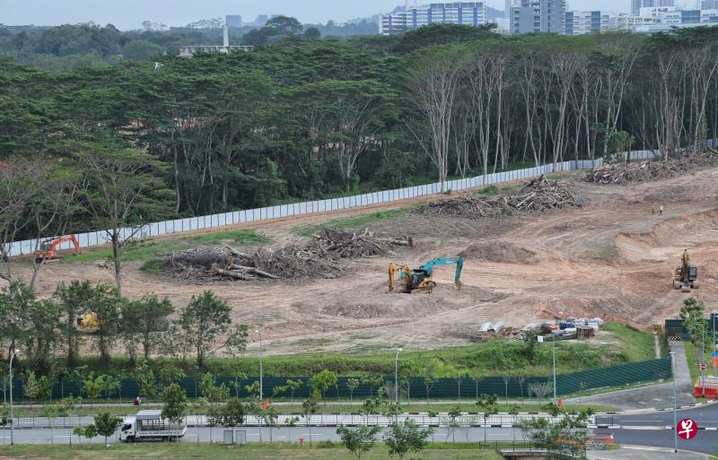裕廊集团本周较早时表示,他们是在1月13日发现承包商华中环球在环境研究报告出炉前错误清理了部分林地后,立即指示承包商停止所有清理工作。图为昨天拍摄的工地现场画面。(何炳耀摄) 裕廊集团本周较早时表示,他们是在1月13日发现承包商华中环球在环境研究报告出炉前错误清理了部分林地后,立即指示承包商停止所有清理工作。图为昨天拍摄的工地现场画面。(何炳耀摄)