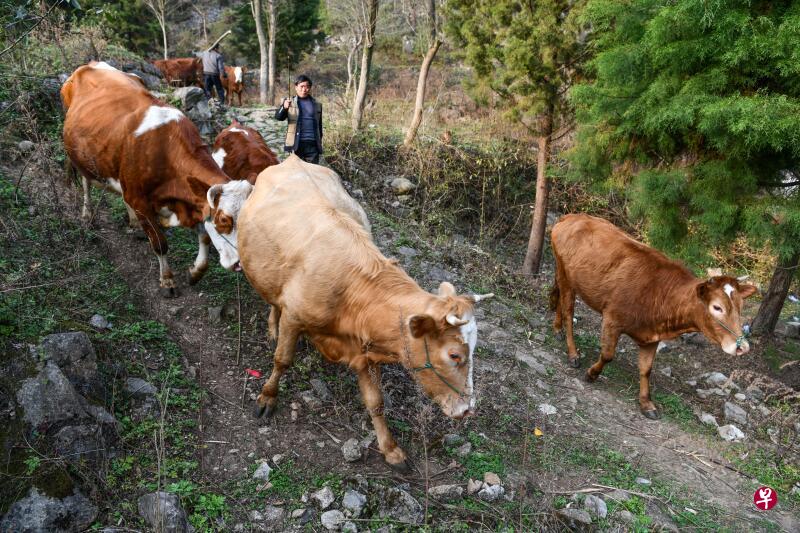 (新华社) (新华社)