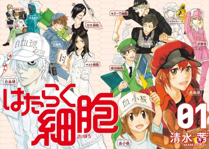 《工作细胞》是日本漫画家清水茜的漫画作品,2018年改编为动画,上个月起开始在央视播出,成为14年来该台首次播出的日本动画。(互联网) 《工作细胞》是日本漫画家清水茜的漫画作品,2018年改编为动画,上个月起开始在央视播出,成为14年来该台首次播出的日本动画。(互联网)