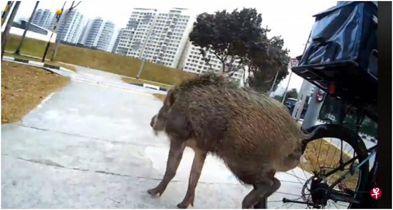 (档案照) (档案照)