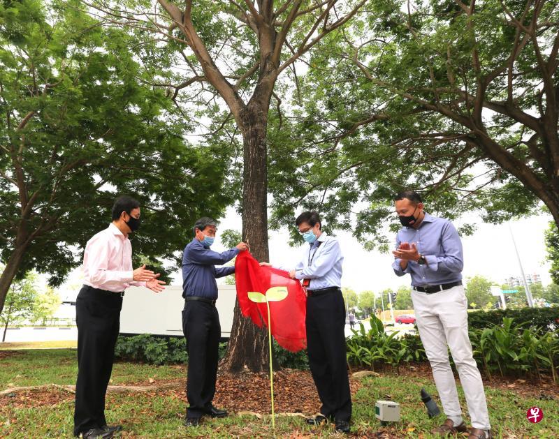 新科大把校园内一棵雨树命名为“众弘善堂树”,众弘善堂第一副主席洪振群(左起)、主席邓荣鉅、新科大校长张道昌教授及东南区市长阀贺米为大树揭开名牌。(庄耿闻摄) 新科大把校园内一棵雨树命名为“众弘善堂树”,众弘善堂第一副主席洪振群(左起)、主席邓荣鉅、新科大校长张道昌教授及东南区市长阀贺米为大树揭开名牌。(庄耿闻摄)