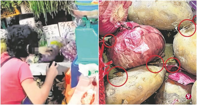 左图:卖菜嫂往一包包的蒜头喷杀虫剂的视频在网上疯传。 (取自All Singapore Stuff面簿)右图:小蟑螂和虫子在马铃薯、大葱上爬行。(邬福樑摄) 左图:卖菜嫂往一包包的蒜头喷杀虫剂的视频在网上疯传。 (取自All Singapore Stuff面簿)右图:小蟑螂和虫子在马铃薯、大葱上爬行。(邬福樑摄)